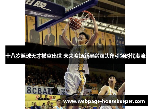 十八岁篮球天才横空出世 未来赛场新星崭露头角引领时代潮流